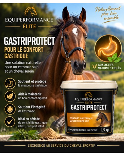 soins gastriques, ulcères