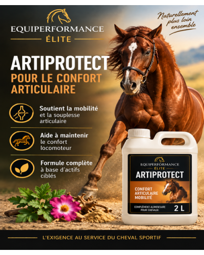 EQUI-Artiprotect Elite protection et renfort articulaire du cheval