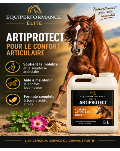 EQUI-Artiprotect Elite 5L protection et renfort articulaire du cheval