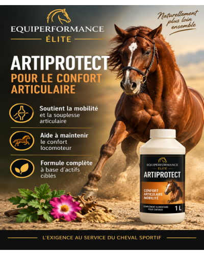 protection et renfort articulaire du cheval complément alimentaire cheval articulation