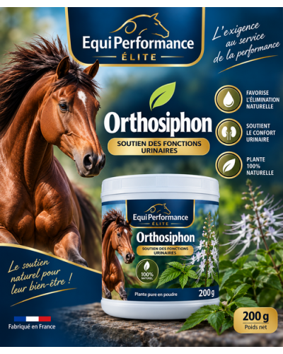 EQUI-ORTHOSIPHON cheval 200G