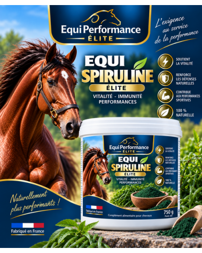 spiruline cheval