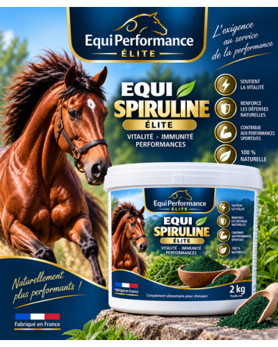 spiruline cheval