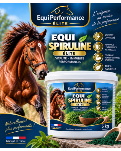 spiruline cheval