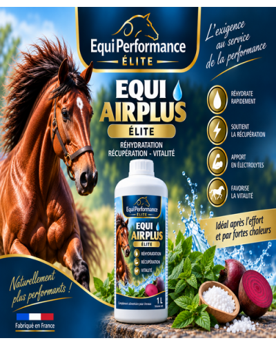 respiration toux cheval aide respiratoire cheval