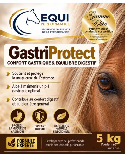 protection estomac cheval soins ulcère cheval