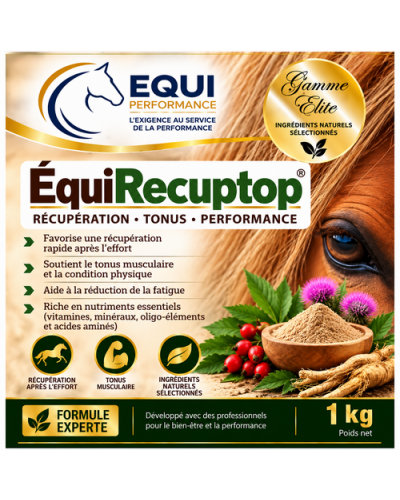 récupération  régénération et détoxification du cheval