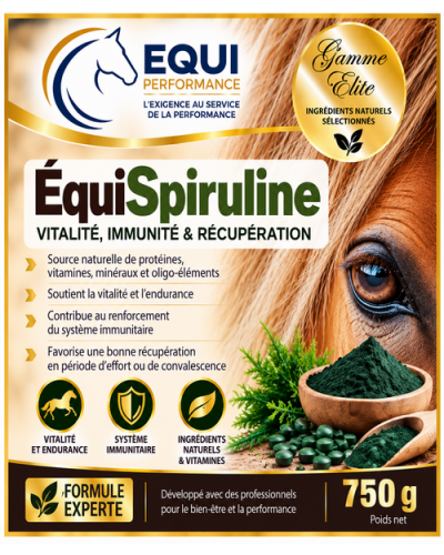 spiruline cheval