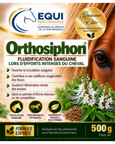 ORTHOSIPHON cheval saignement sanguin cheval 500G